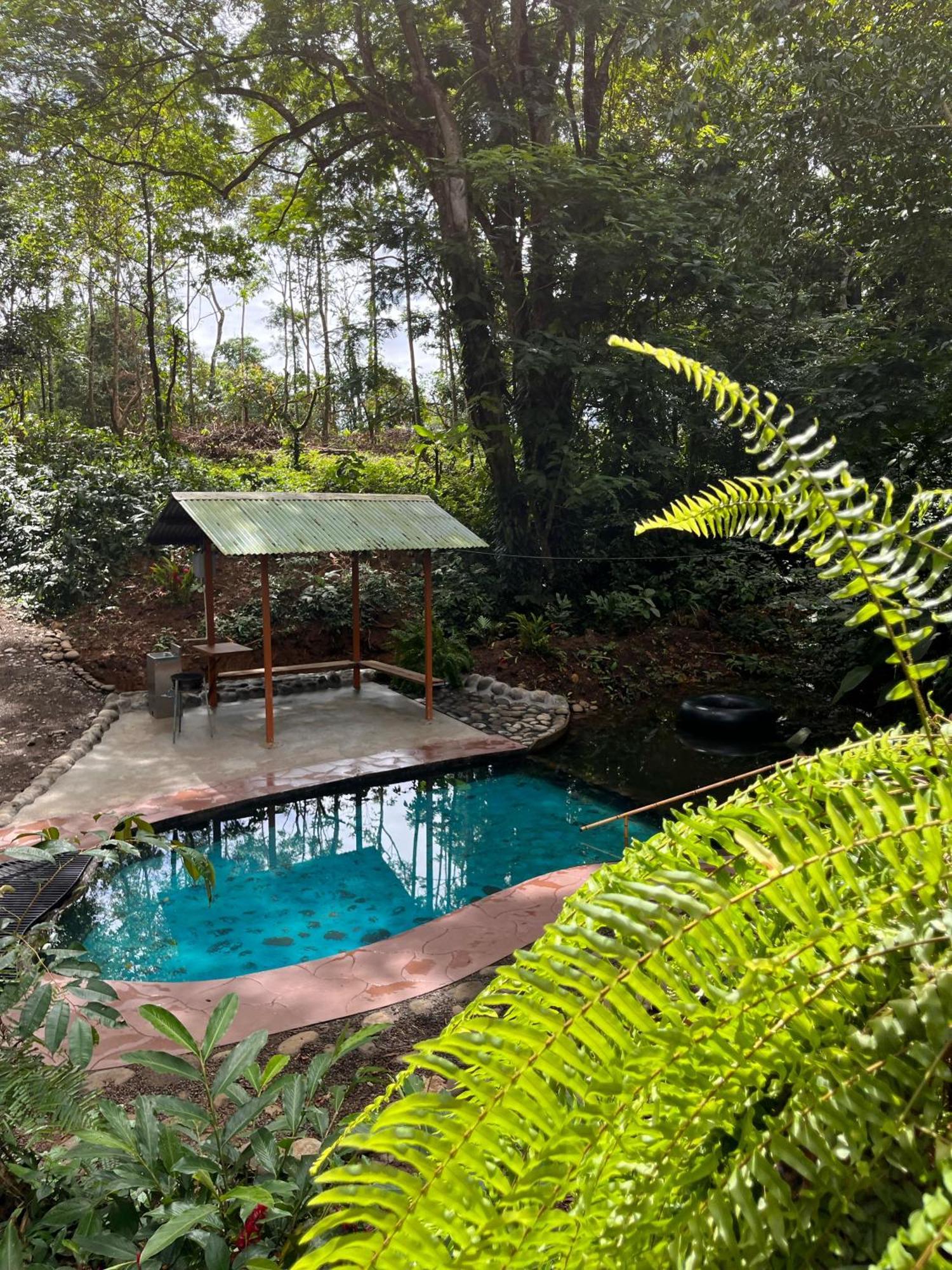Gambas Lodge La Fortuna المظهر الخارجي الصورة